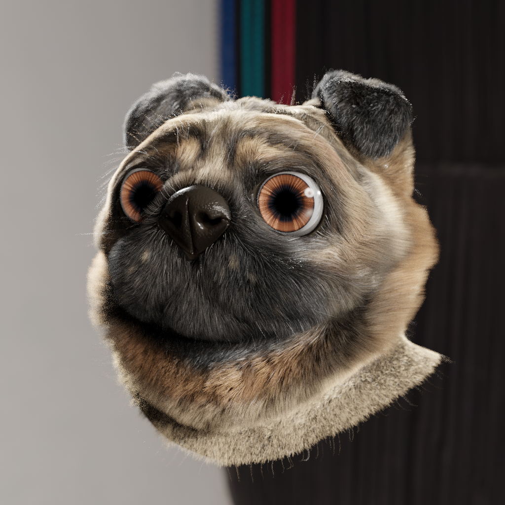 Pug head (with fur) preview image 1
